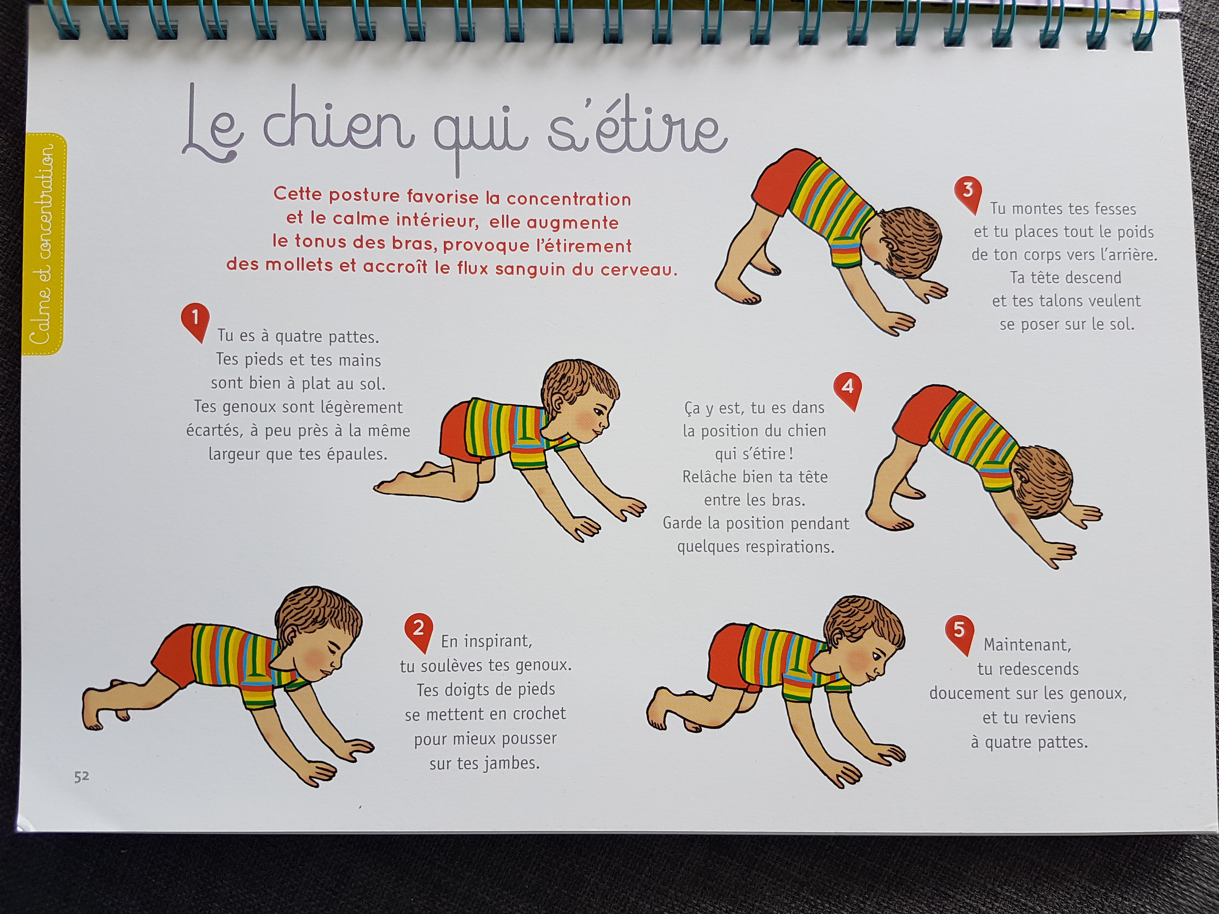 Le chien qui s